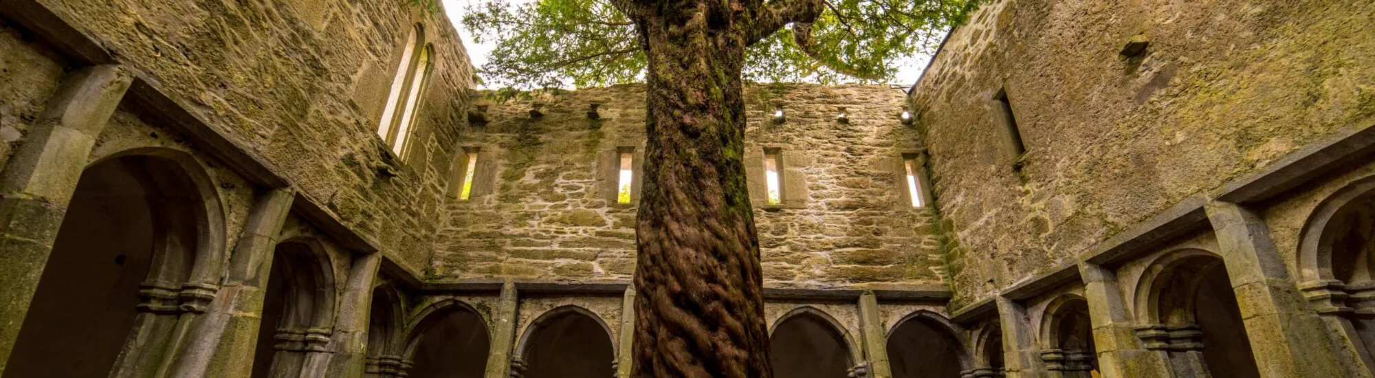 La Abadía de Muckross