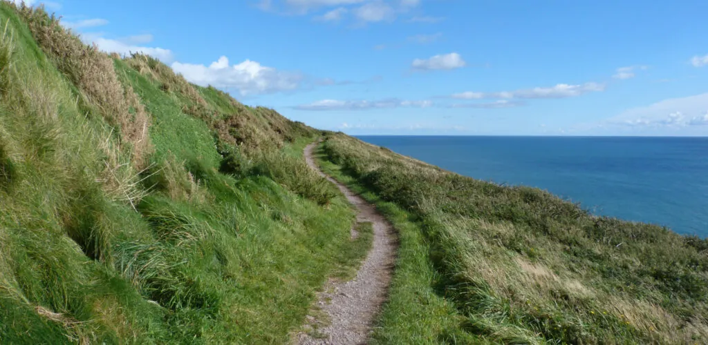 ballycotton cliff walk 1