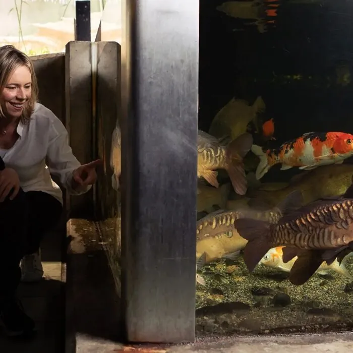 Galway Atlantaquaria - https://nationalaquarium.ie/