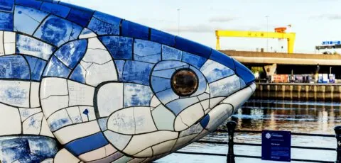 big fish belfast 1