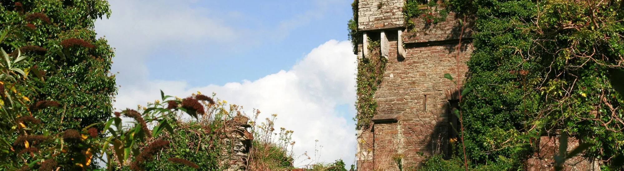 Castillo Bernard