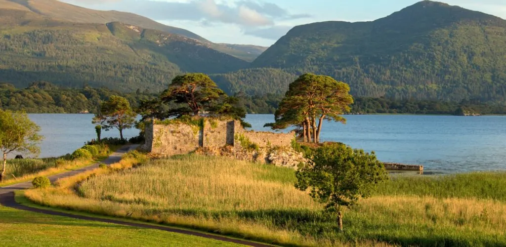 mccarthys castle