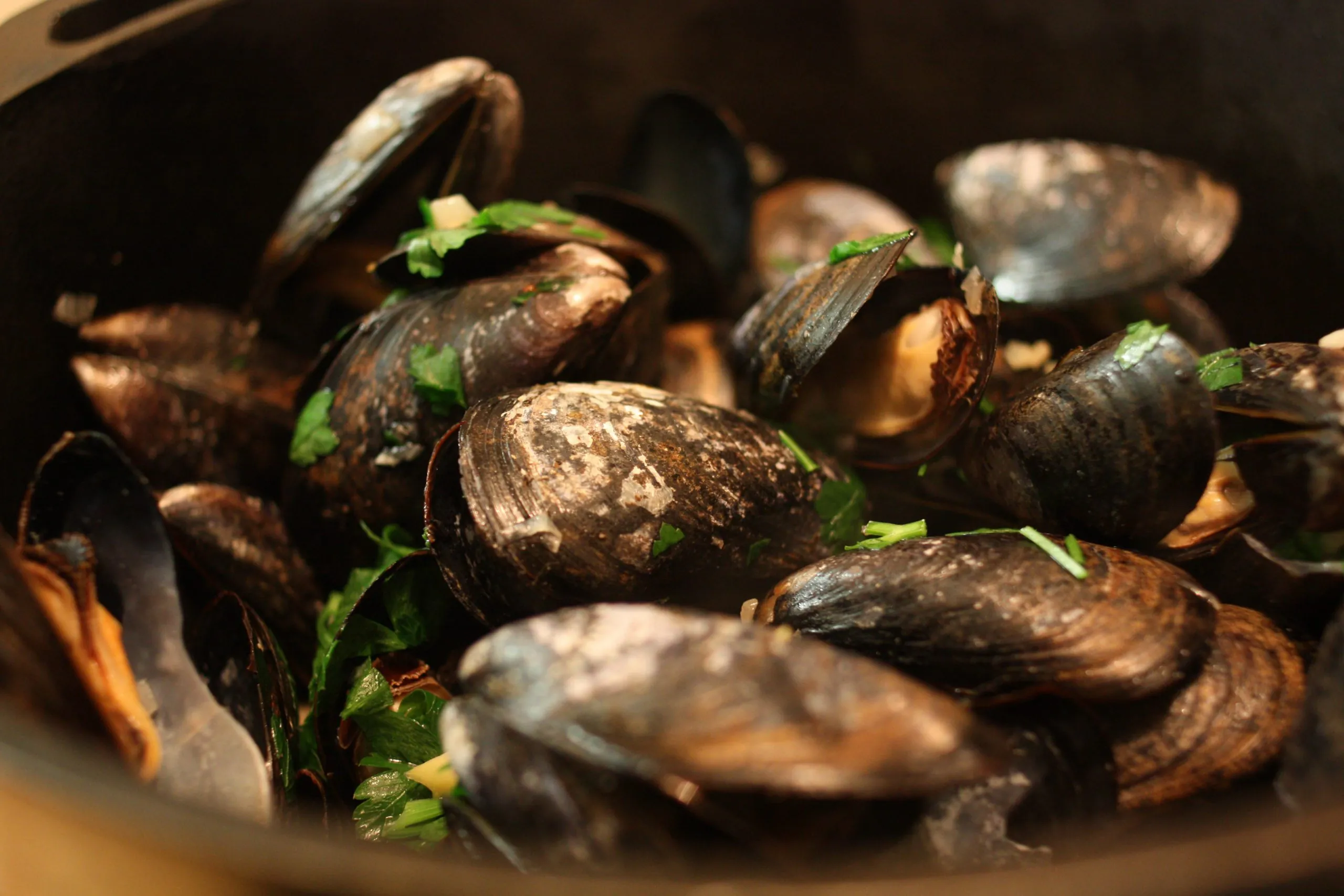 Mejillones a la Guinness