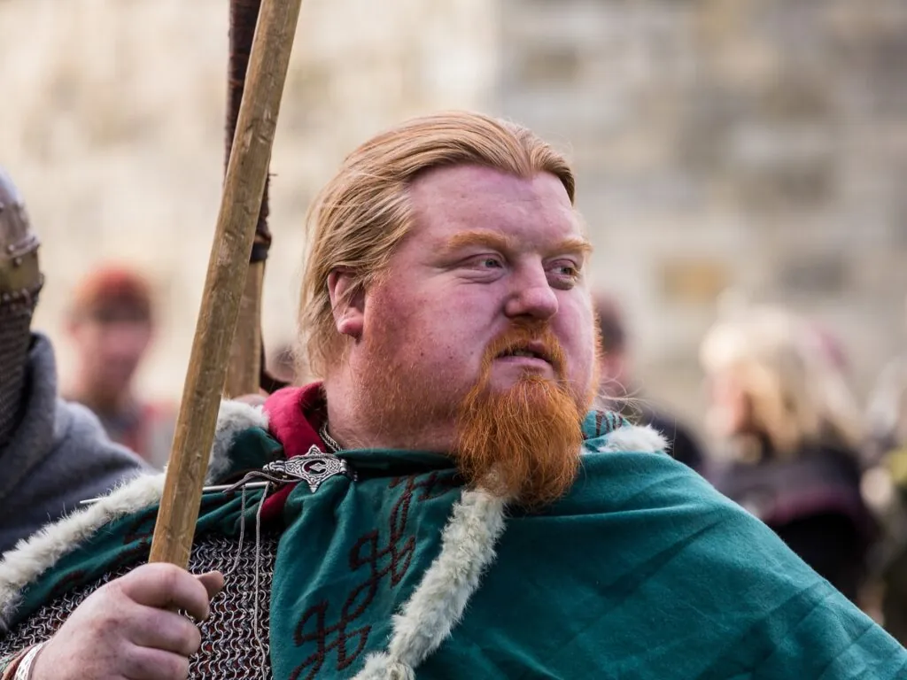 dublin viking festival 1
