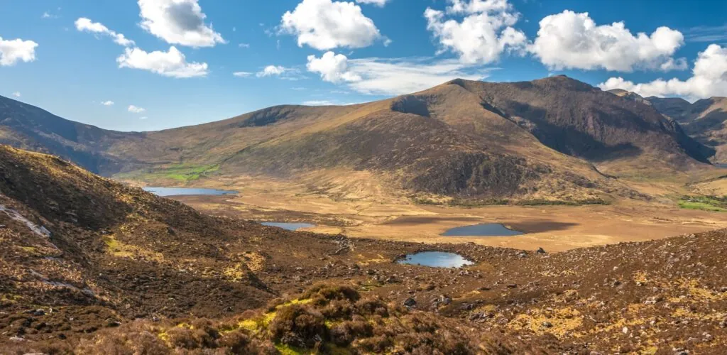 Idiomas en Irlanda