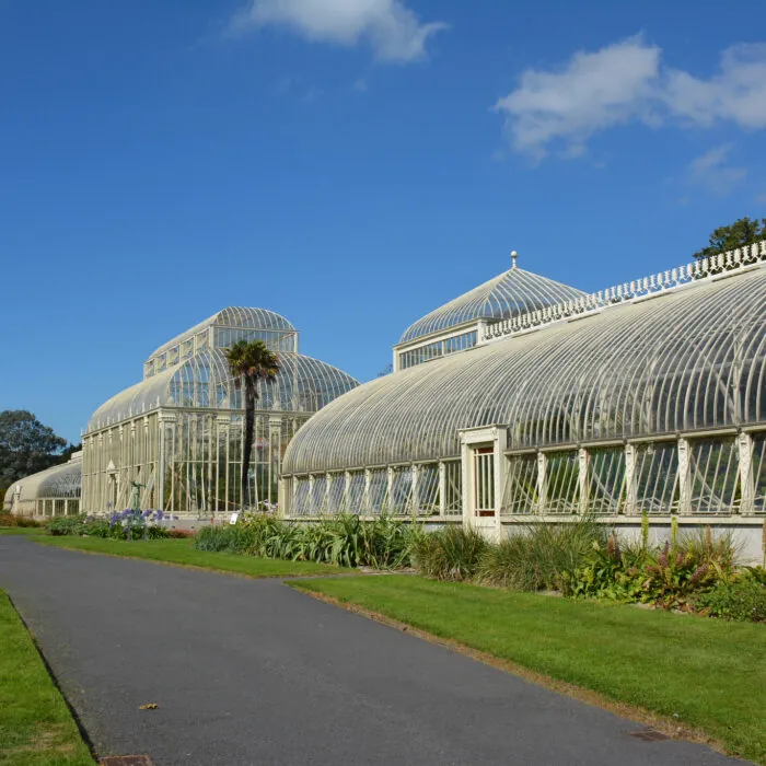 Le National Botanic gardens de Glasnevin - Simon - cc