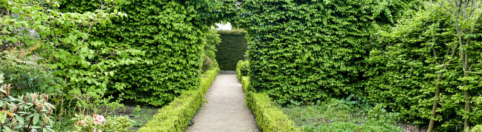 Jardín Altamont