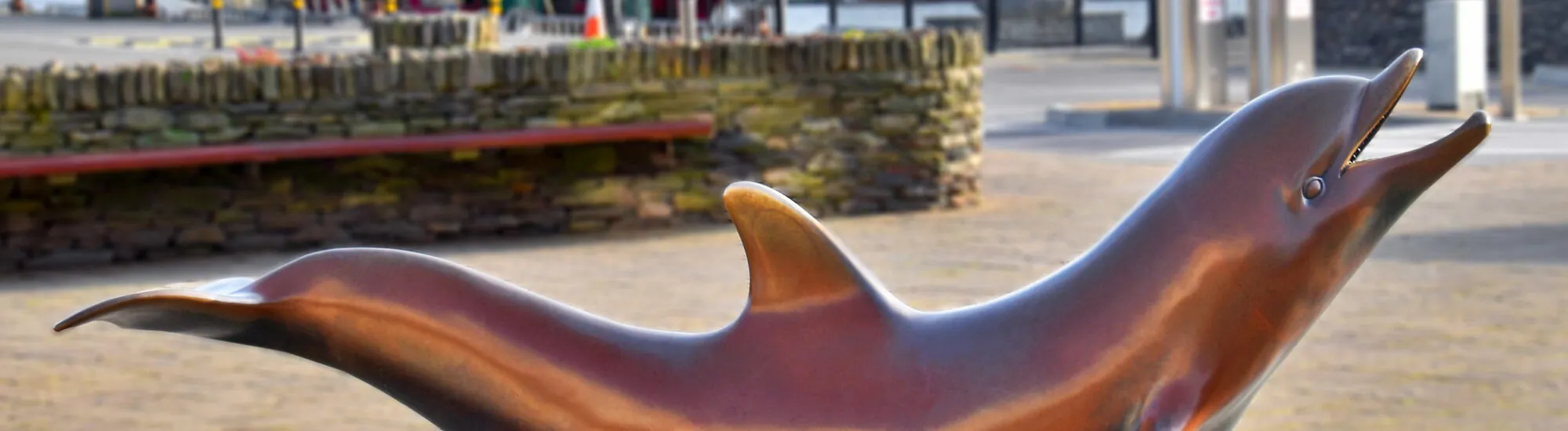 El Tour de los Delfines de Dingle