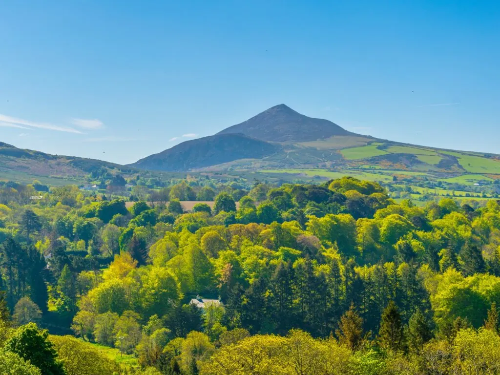 great sugar loaf