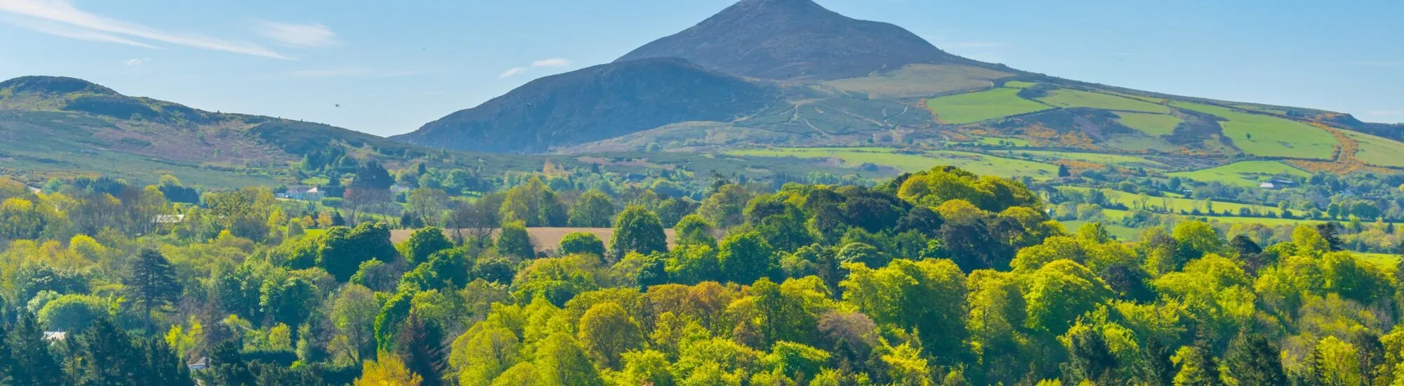 El Great Sugar Loaf