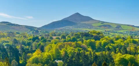great sugar loaf