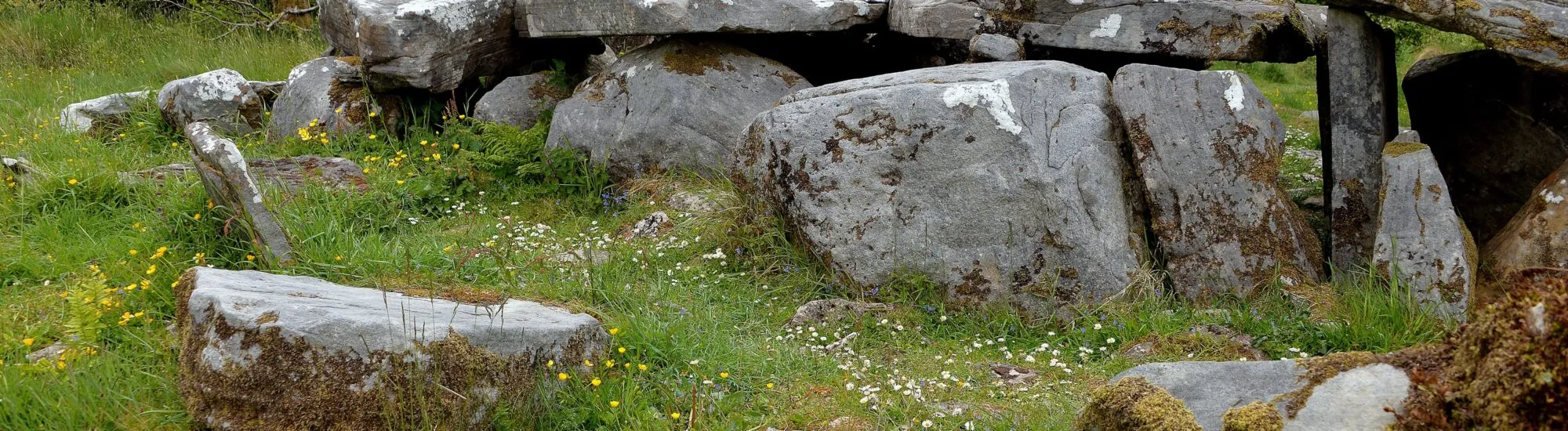 El Parque Cavan Burren