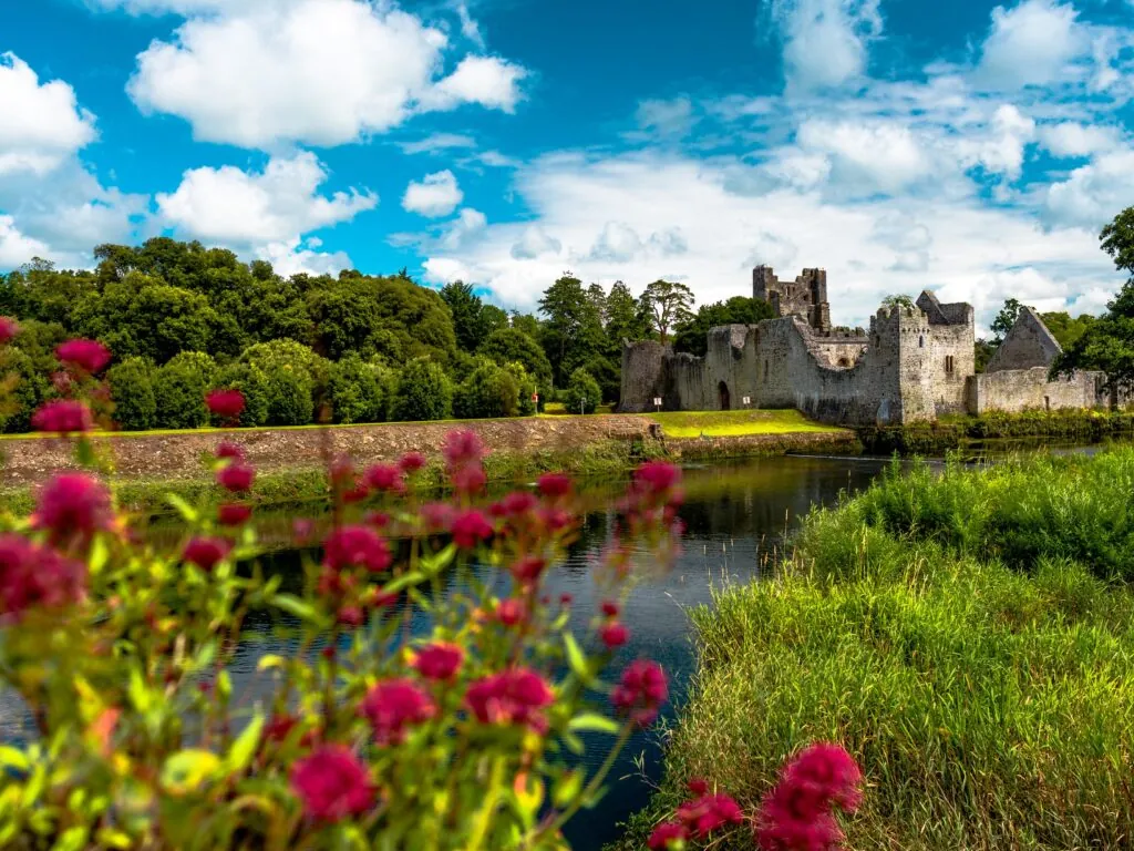 desmond castle adare