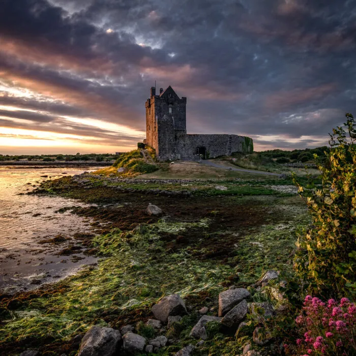 Le Dunguaire Castle de Kinvara - Bernd Thaller - cc