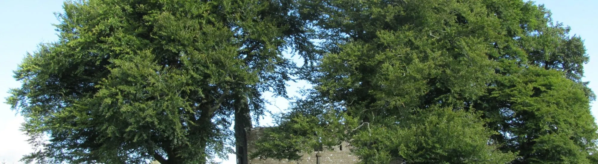La Abadía de Monaincha