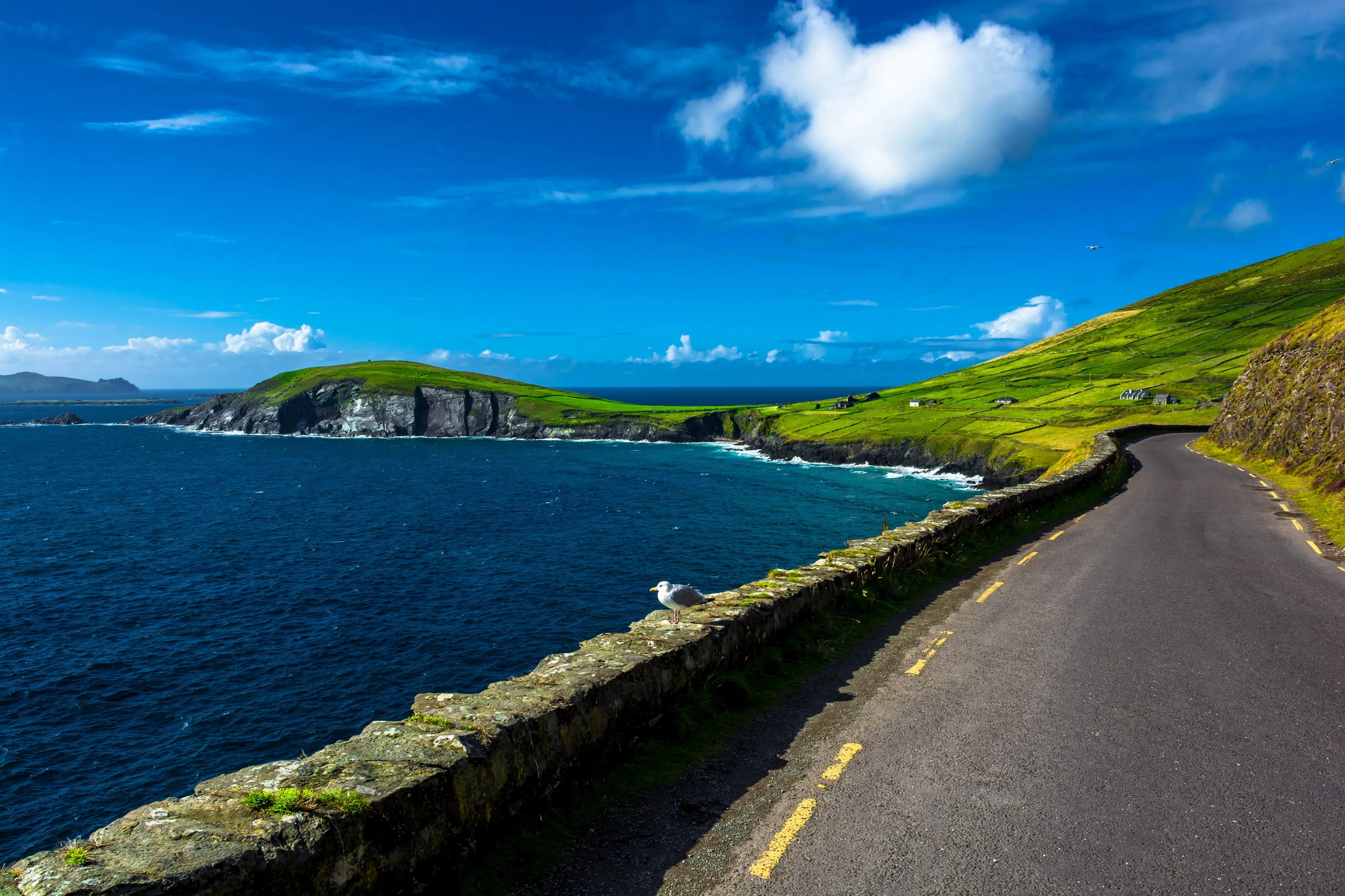 La Slea Head Drive - © grafxart
