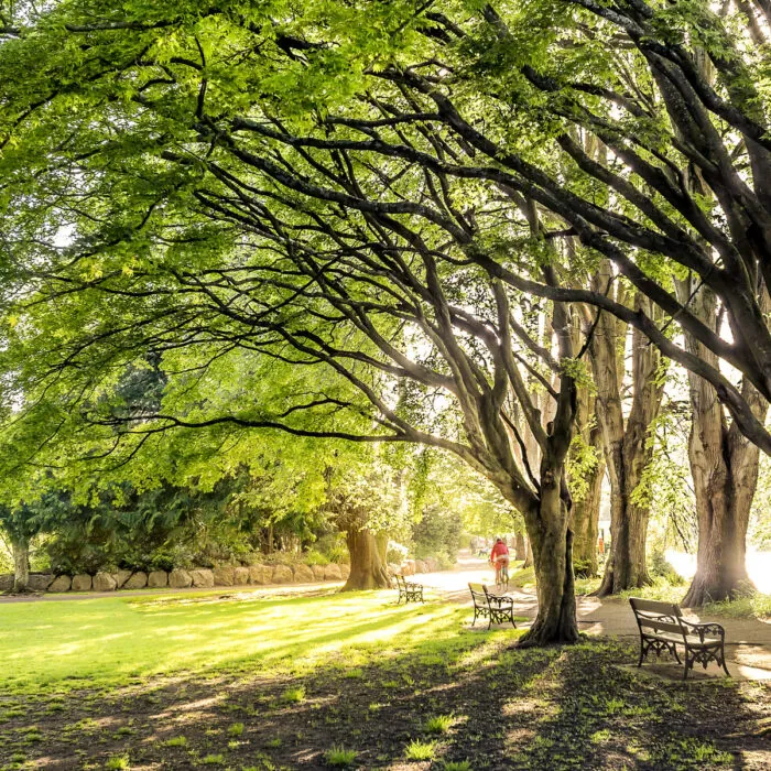 fitzgerald park 1