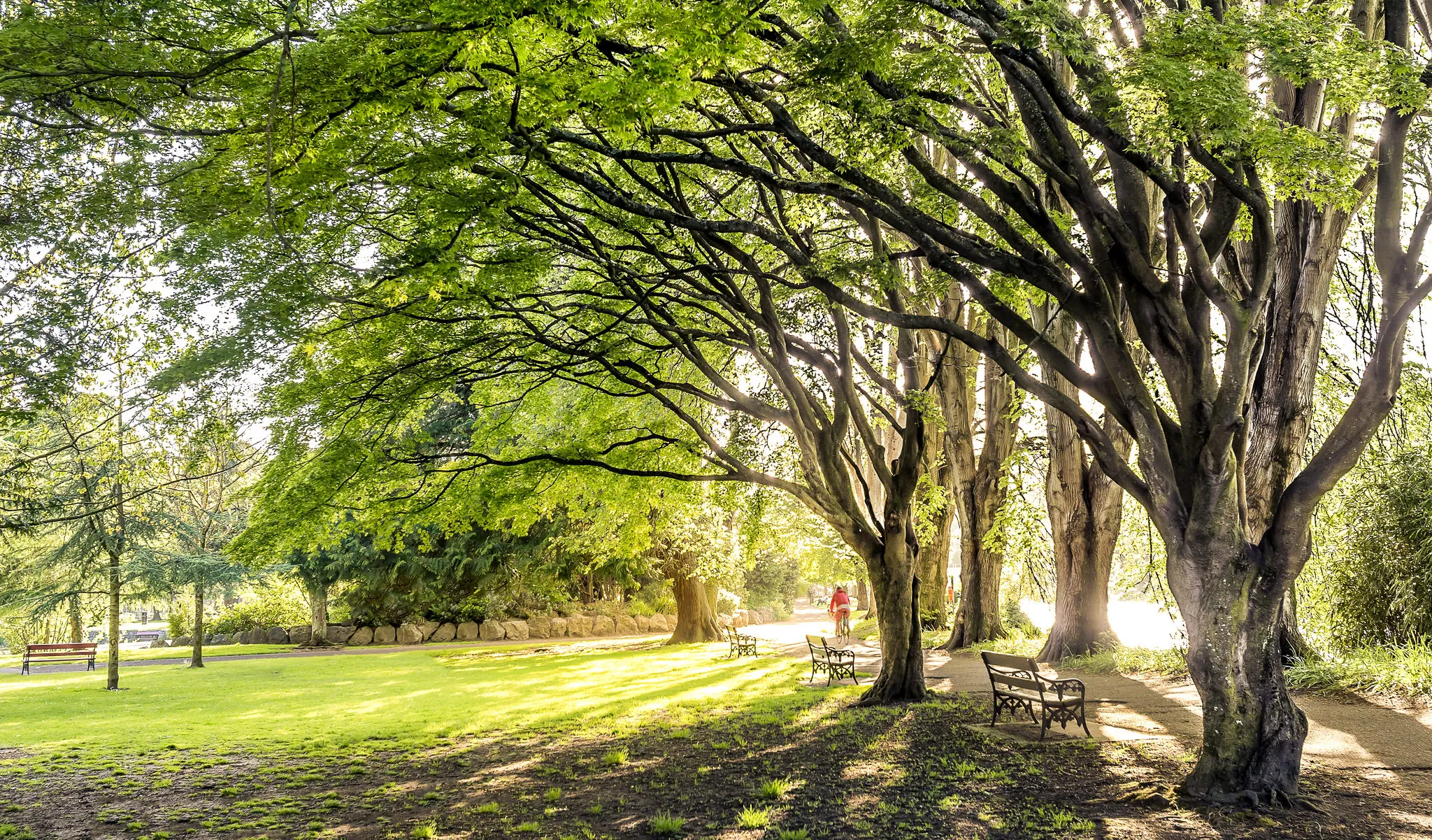 Parque Fitzgerald