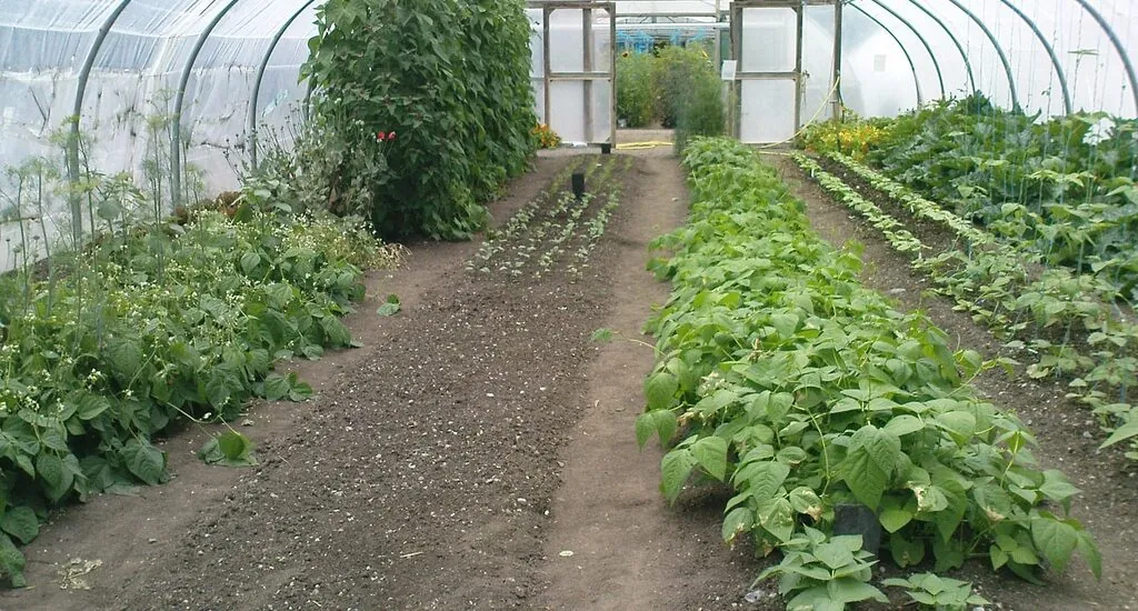 El Centro Orgánico de Rossinver