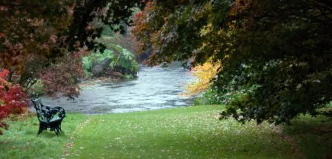 mount usher gardens
