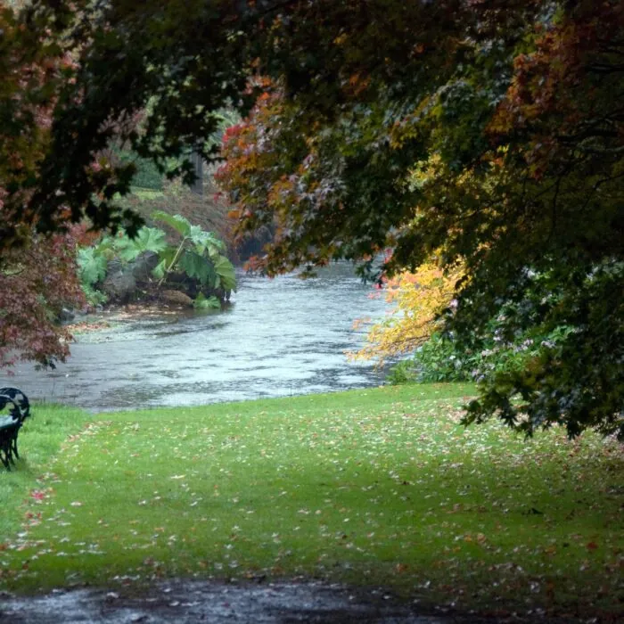 Los Jardines Mount Usher 1 Les Mount Usher Gardens - Ben Crowe - cc
