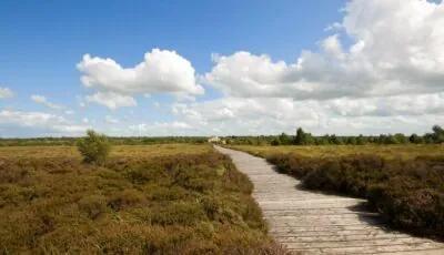 La turbera de Corlea Bog - Kevin King - cc