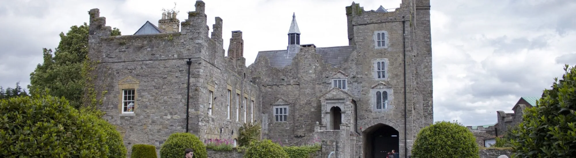 El Castillo de Drimnagh