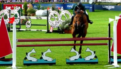 Dublin Horse Show