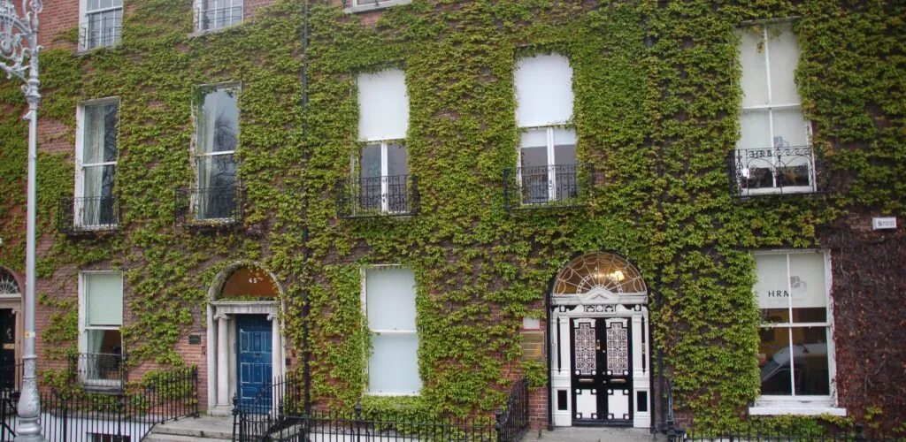 fitzwilliam square scaled