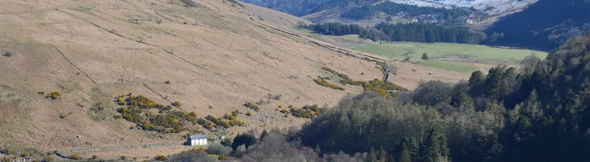 El Lough Dan