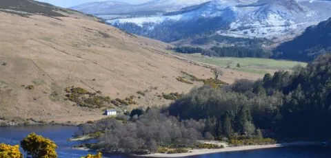 lough dan 1
