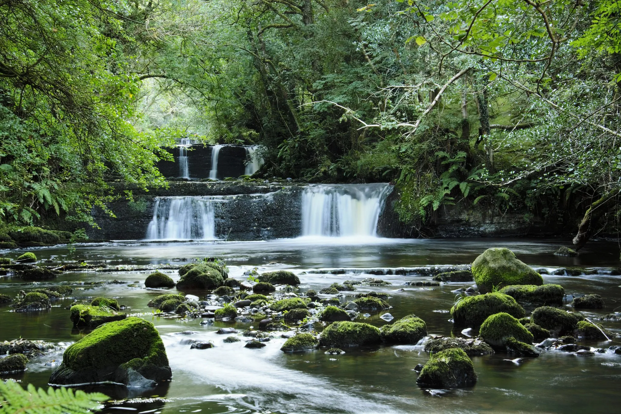 Las Cascadas Fowley