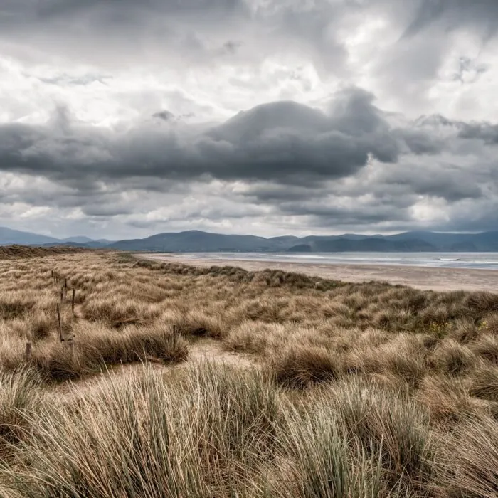 La Inch bech - © Jon Ingall