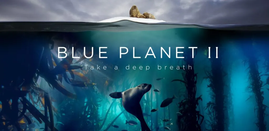 Blue Planet Live II llegará a Dublín y Belfast en 2019