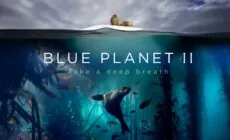 Blue Planet II de la BBC