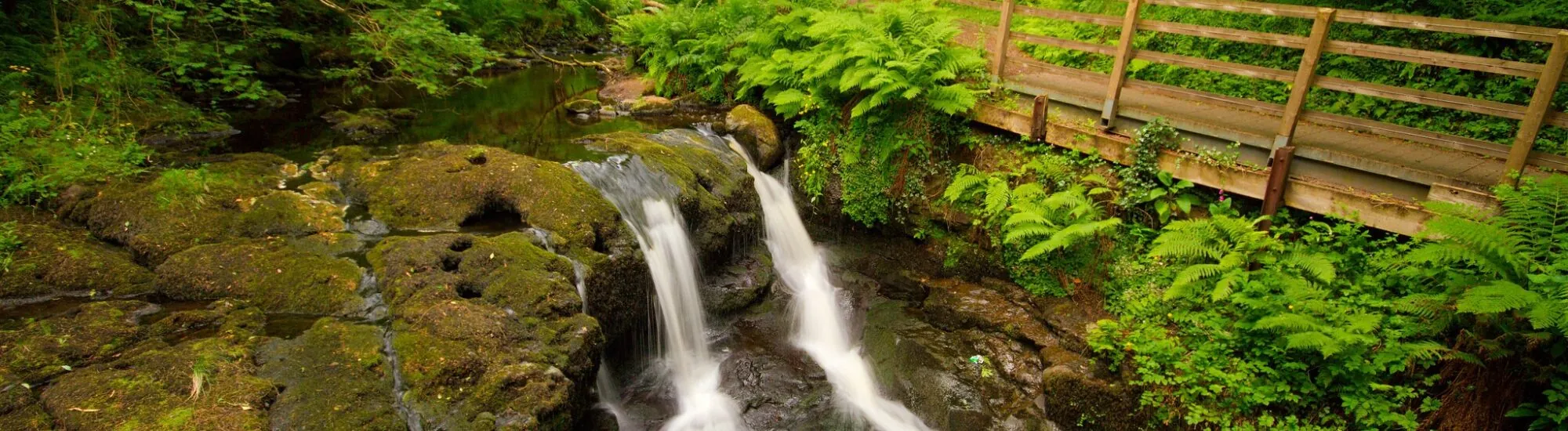 Parque Forestal Glenariff
