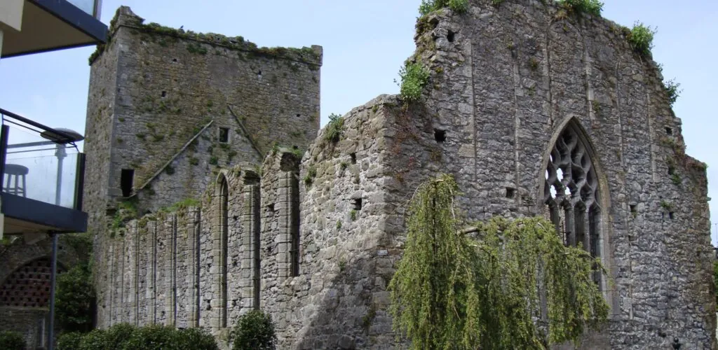 st dominicks abbey cashel scaled