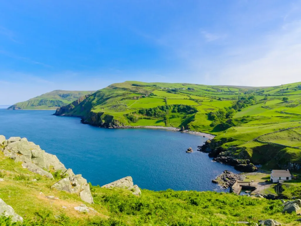 torr head 3