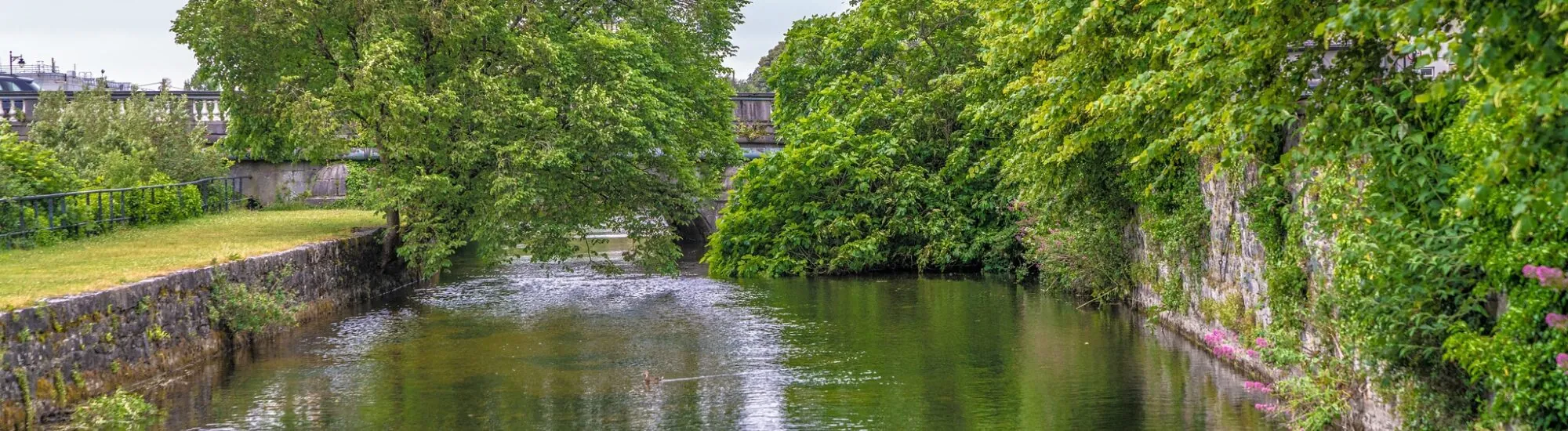 El paseo del Corrib
