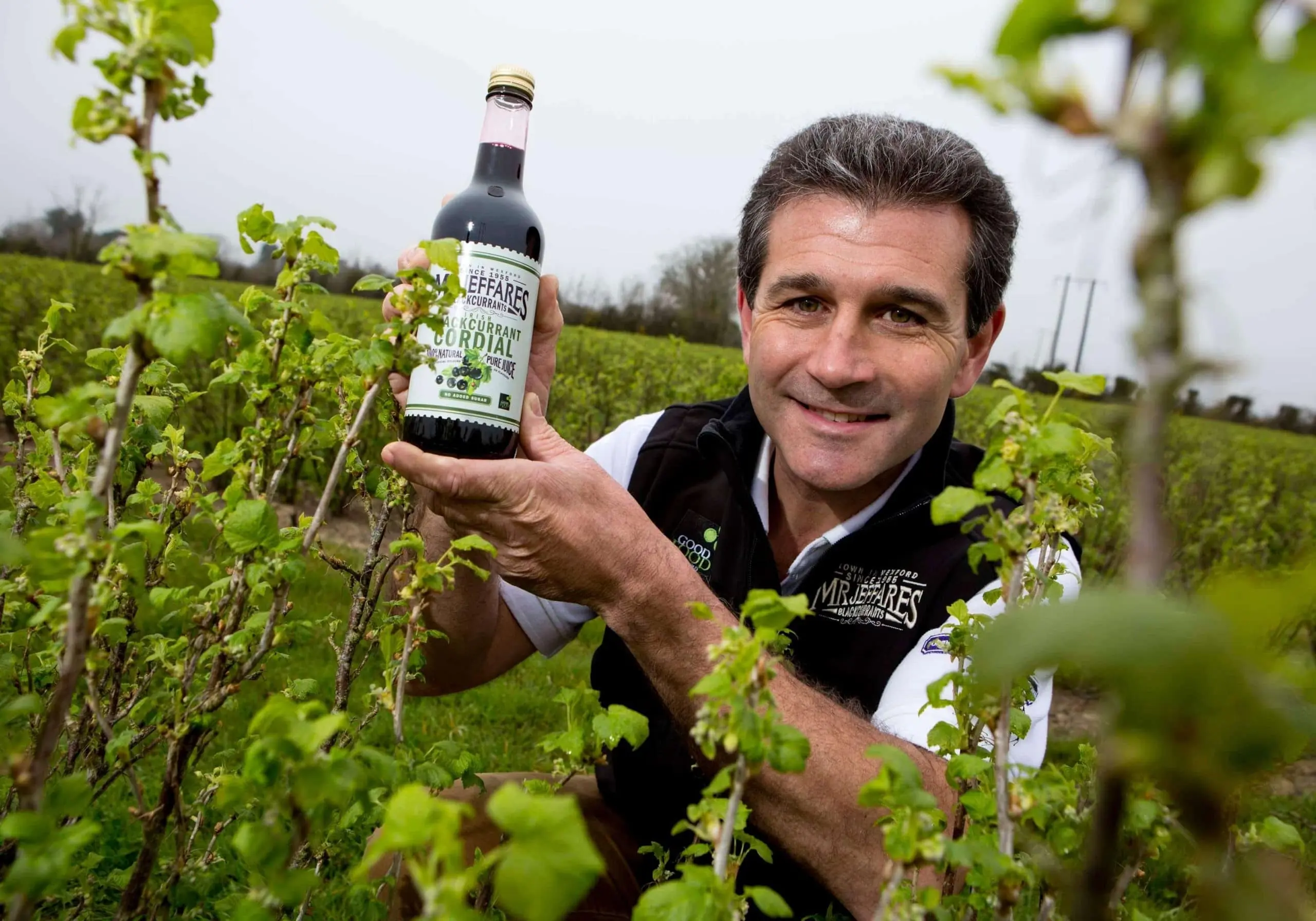 El Blackcurrant