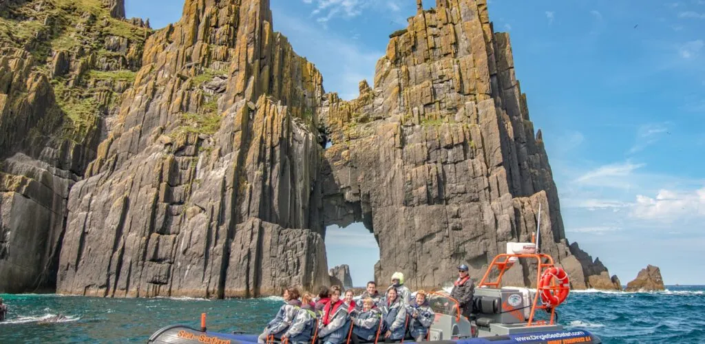 dingle sea safari