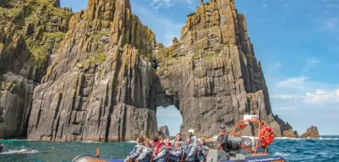 dingle sea safari