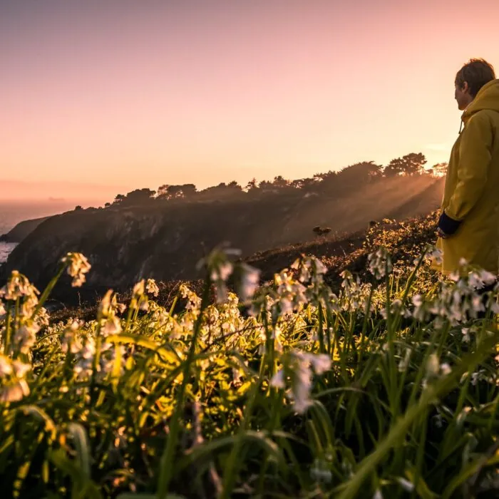 Le Howth Cliff Path - Giuseppe Milo - cc