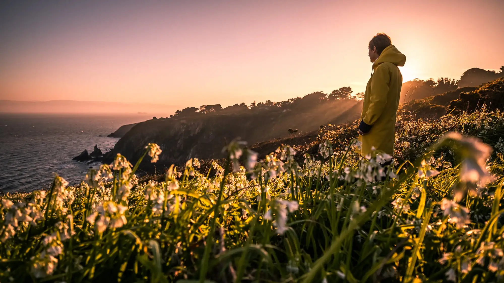 Le Howth Cliff Path - Giuseppe Milo - cc