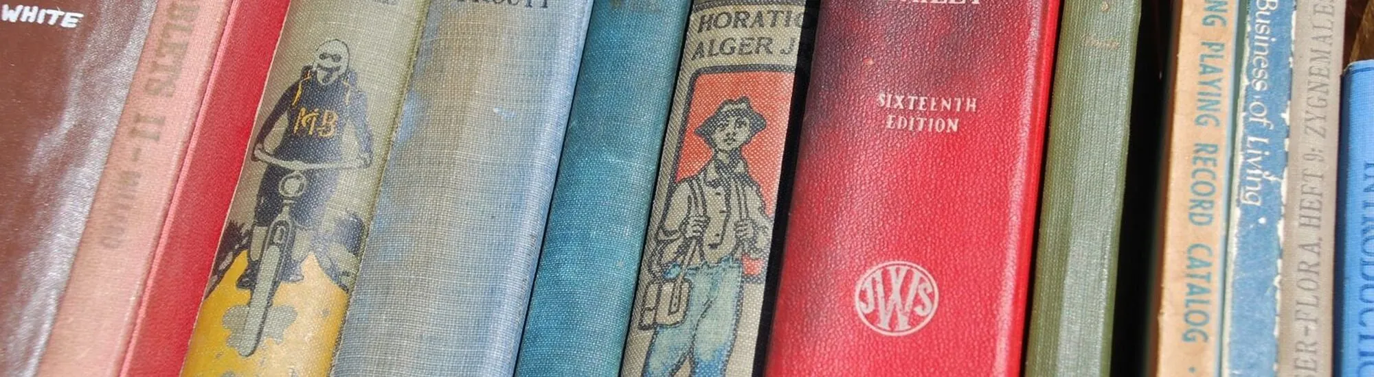 El Mercado de Libros de Temple Bar