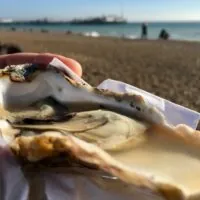 carlingford oyster festival