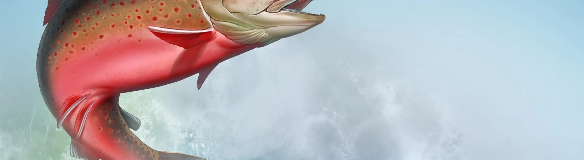 El salmón del conocimiento