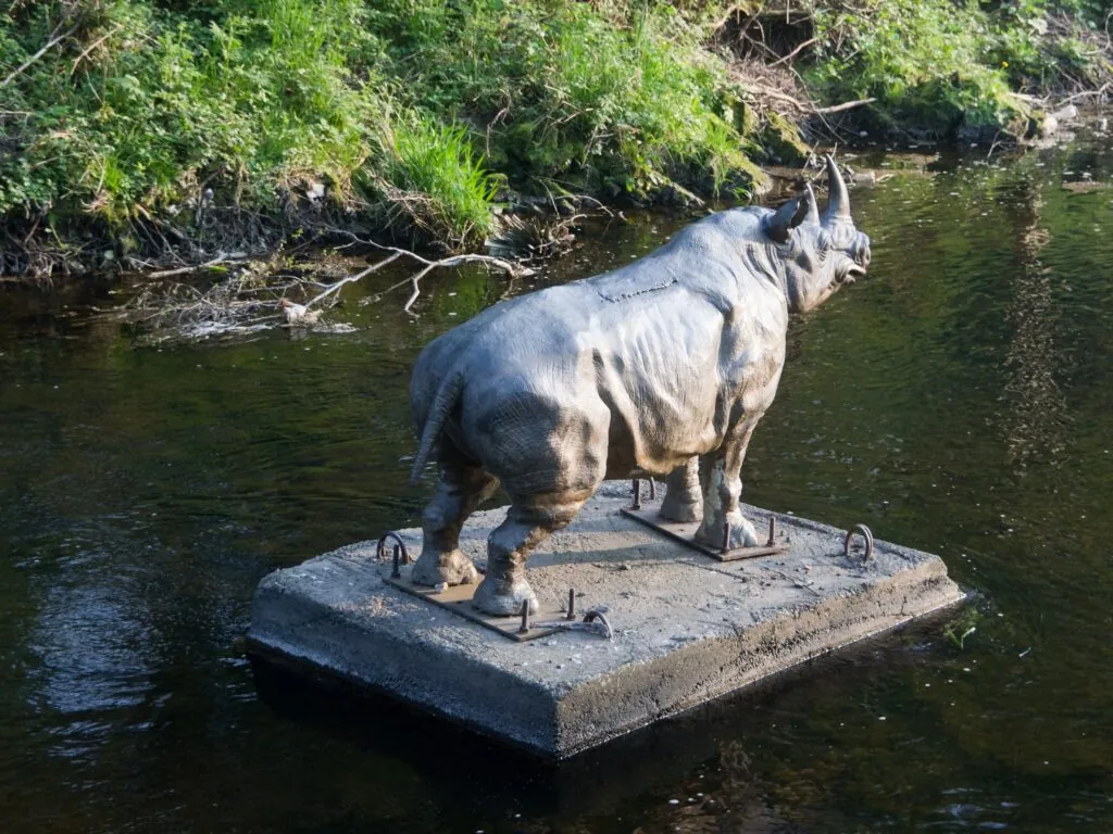 dodder rhino