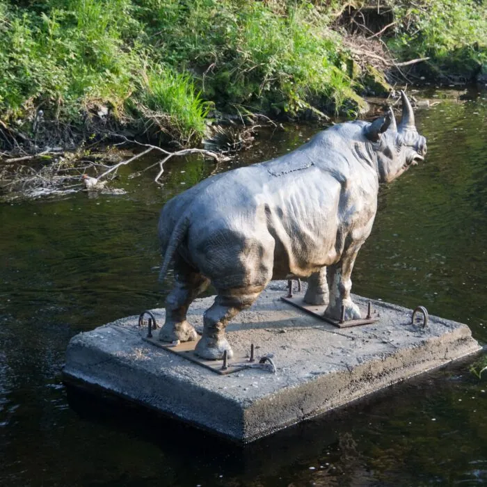 Le Dodder Rhino de Dublin - William Murphy - cc