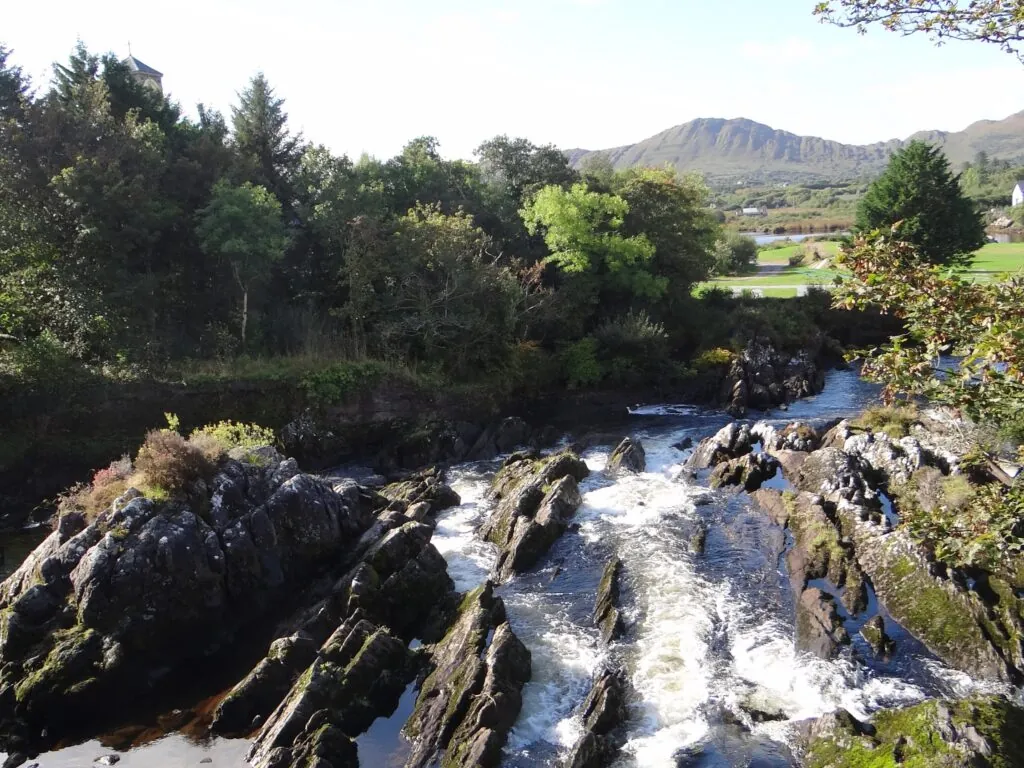 sneem